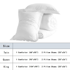 3 Pieces Microfiber Comforter Set with Pillow Shams - NTBAY