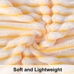 NTBAY Plush Flannel Baby Blanket – Cozy & Soft, 30x40 inches