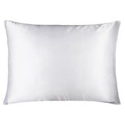 NTBAY 19 Momme Pure Natural Mulberry Silk Pillowcase with Zippered Closure Queen (20 x 30 inches) / White - NTBAY