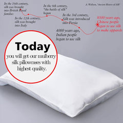 NTBAY Mulberry Silk Pillowcase with Zippered Closure - NTBAY
