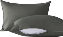 NTBAY 2-Pack Microfiber Pillows with Soft Cotton Pillowcases