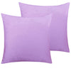 NTBAY 2 Pack Cozy Velvet Throw Pillow Cover 16 x 16 inches / Light Purple - NTBAY