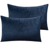 NTBAY Zippered Velvet Pillowcases, 2 Pack Super Soft and Cozy Luxury Solid Color Pillow Cases Queen (20 x 30 inches) / Navy Blue - NTBAY