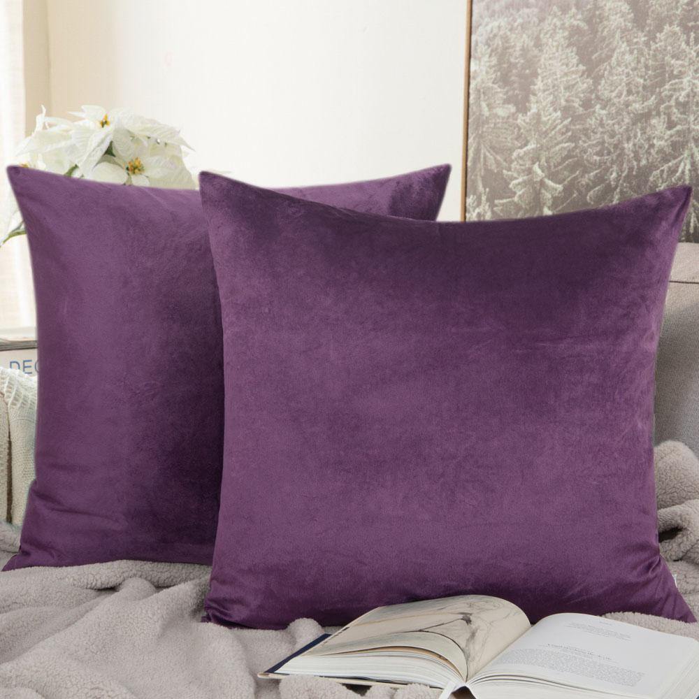 NTBAY 2 Pack Cozy Velvet Throw Pillow Cover - NTBAY
