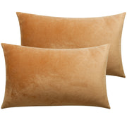 2 Pack Zippered Velvet Queen Pillowcases, Super Soft and Cozy Luxury Fuzzy Flannel Pillow Cases with Zipper,  Camel