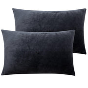 NTBAY Zippered Velvet Pillowcases, 2 Pack Super Soft and Cozy Luxury Solid Color Pillow Cases Queen (20 x 30 inches) / Charcoal Grey - NTBAY