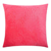 NTBAY Cozy Velvet Throw Pillow Cover,Euro Square Pillowcase - NTBAY